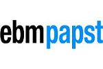 Papst Fan