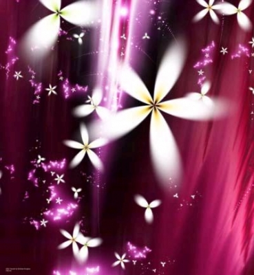 Case_Wrap_Midi_Tower_Window_Kit_Aufkleber_Flourish