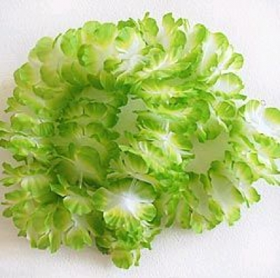Blumen_Kranz_Geschenk_Klebeblume_Flower_Farbe_Arbeitsplatz_bunt