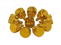 Thumbscrews Gehäuse 1 Stk gold